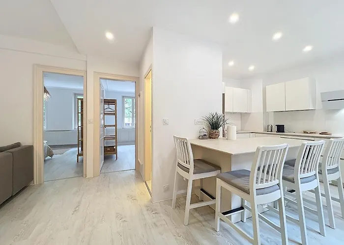 Spacious 2 Bedroom Petite France